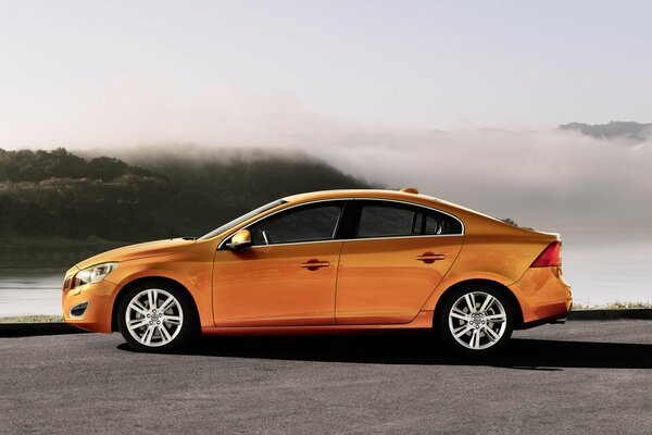 Orange Auto auf Nebel und Wald Hintergrund