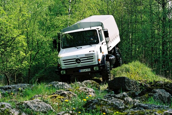 Mercedes truck in the woods. forest, rocks, car