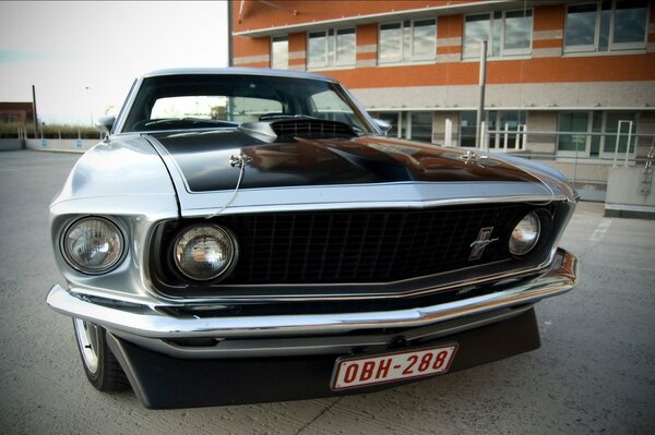 Ford Mustang szary z czarnym