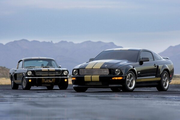 Two black Fords with yellow stripes