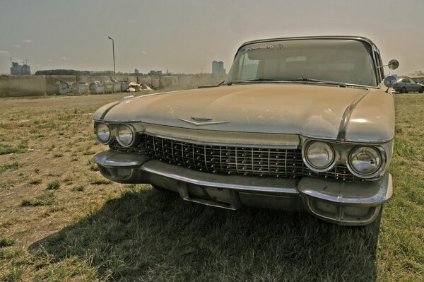 Stary Atikwarowy Cadillac. Wystawa