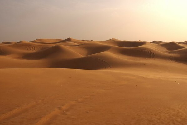Spuren im Sand in der Wüste. Düne