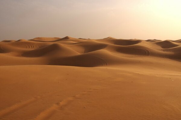 Huellas en la arena del desierto. Duna