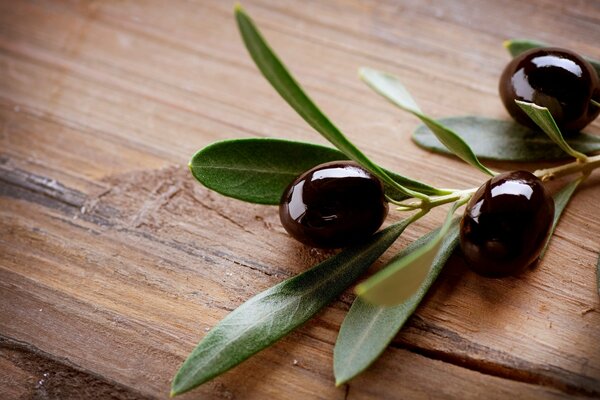 A sprig of olives on a wooden table