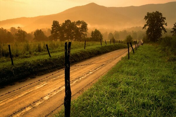 A lo largo de la carretera hay una cerca que protege la hierba y el bosque