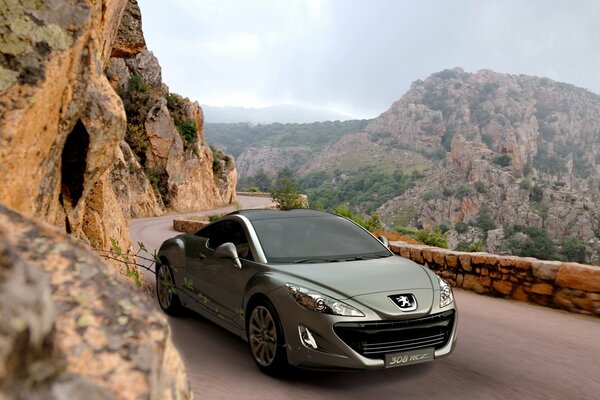 The car is gray against the background of nature and mountains