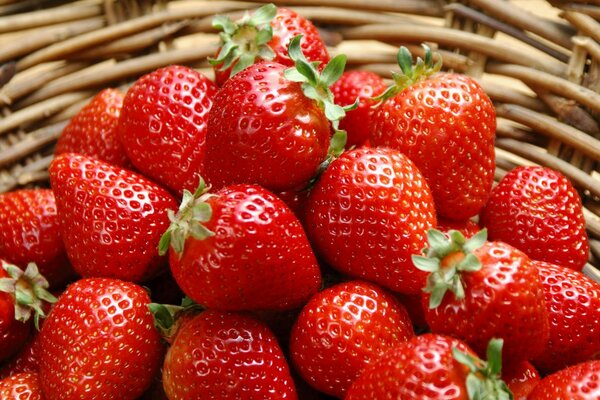 Baies de fraises juteuses dans un panier