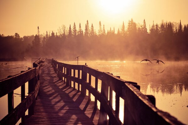 Bridge over the river in the sun