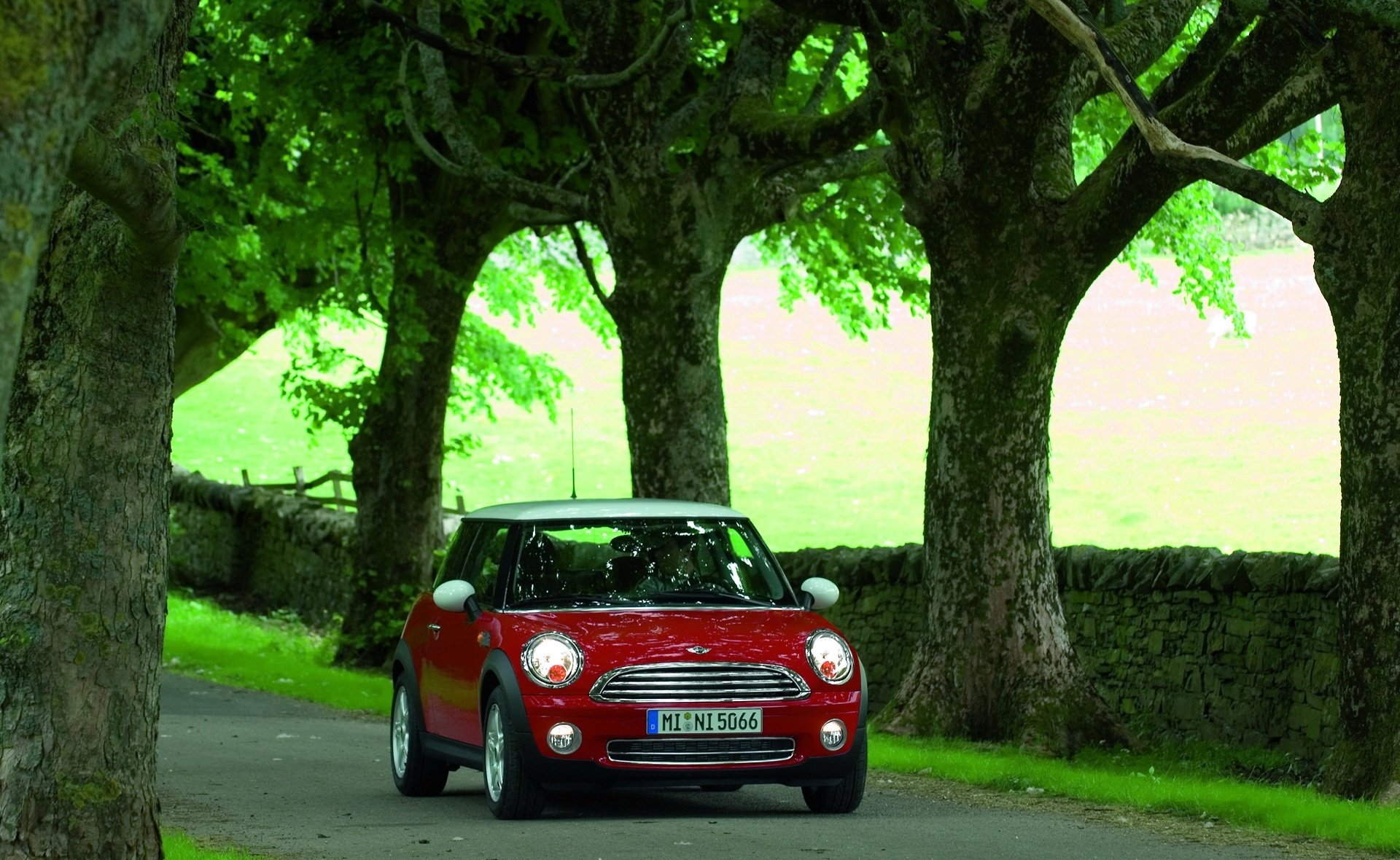 mini rojo coches naturaleza