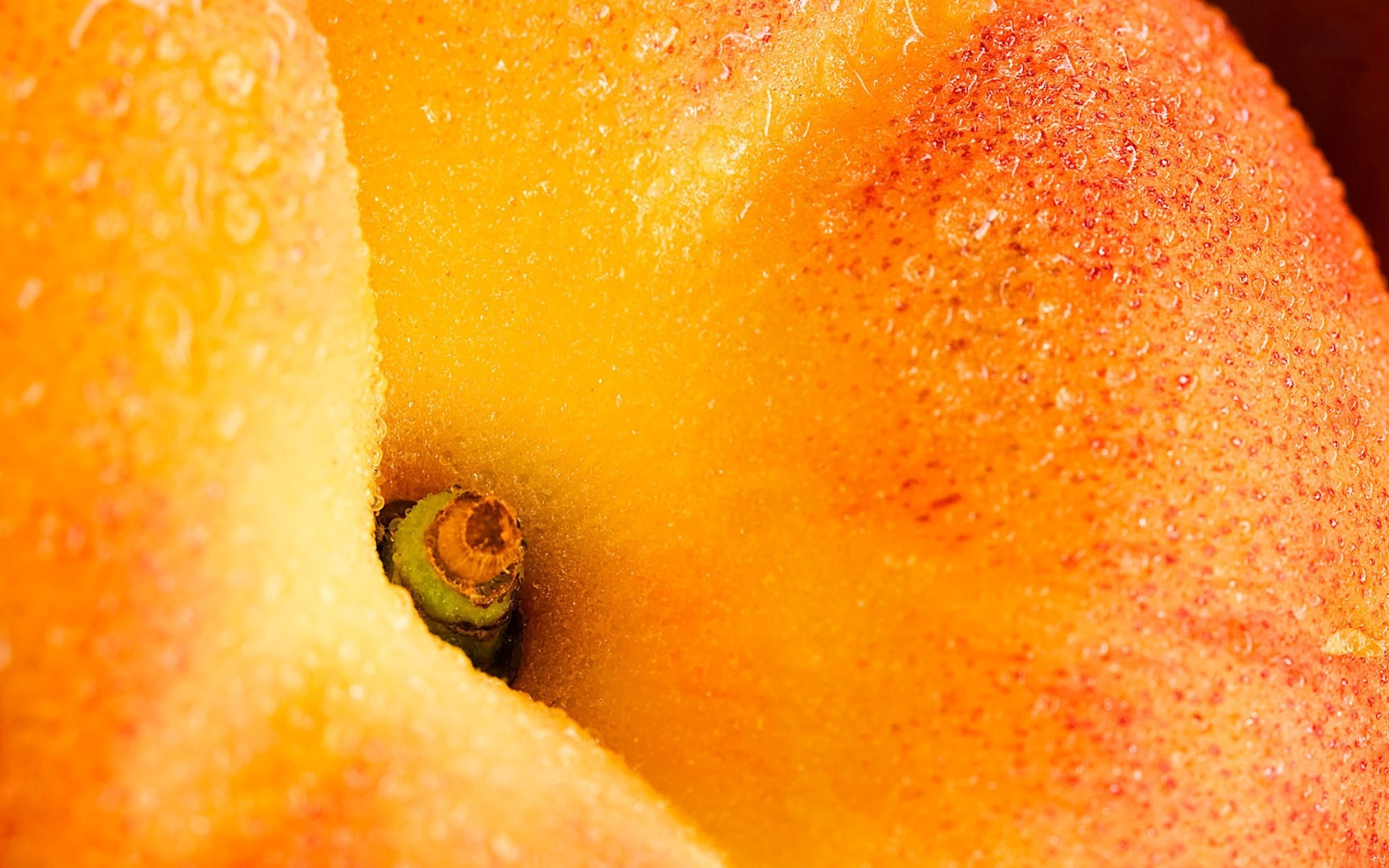 frutas macro gotas de agua melocotones