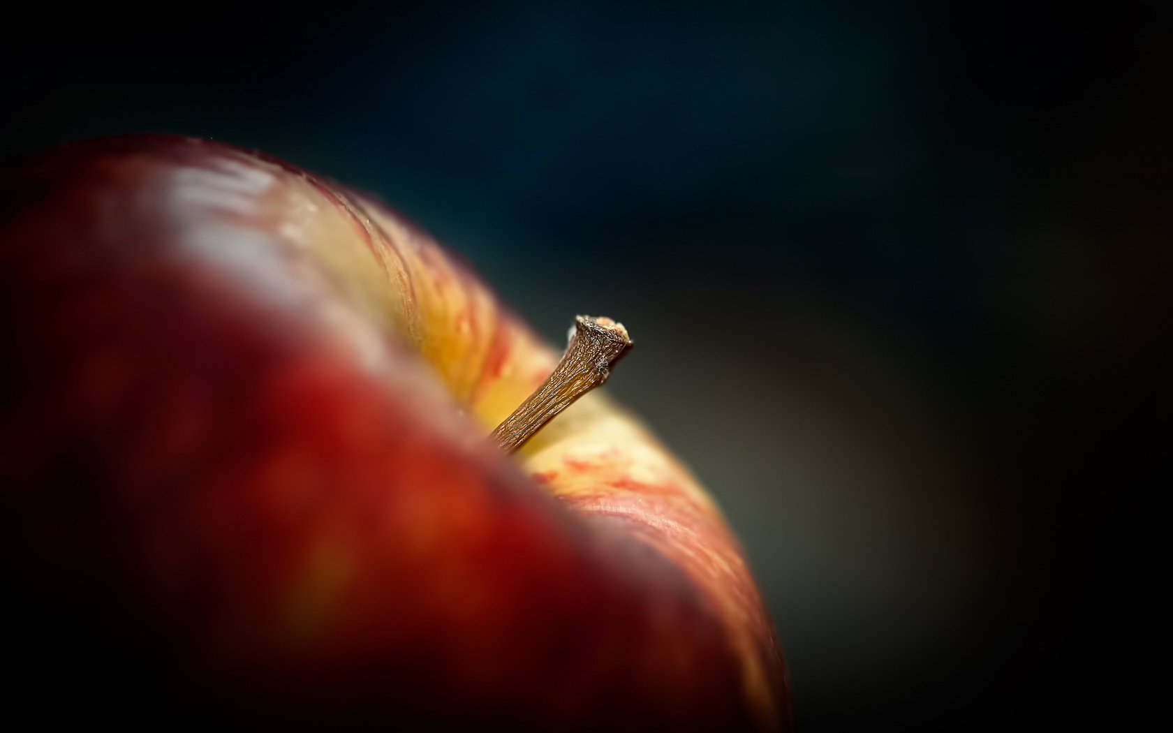 pferdeschwanz dunkler hintergrund apfel