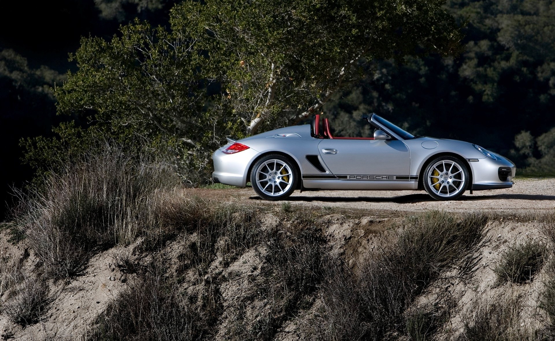 porsche argento terra