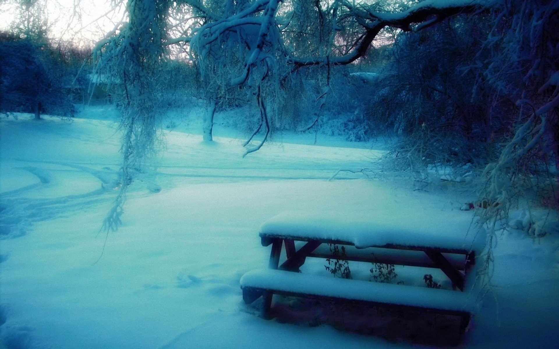 winter blur trees snow table bench park