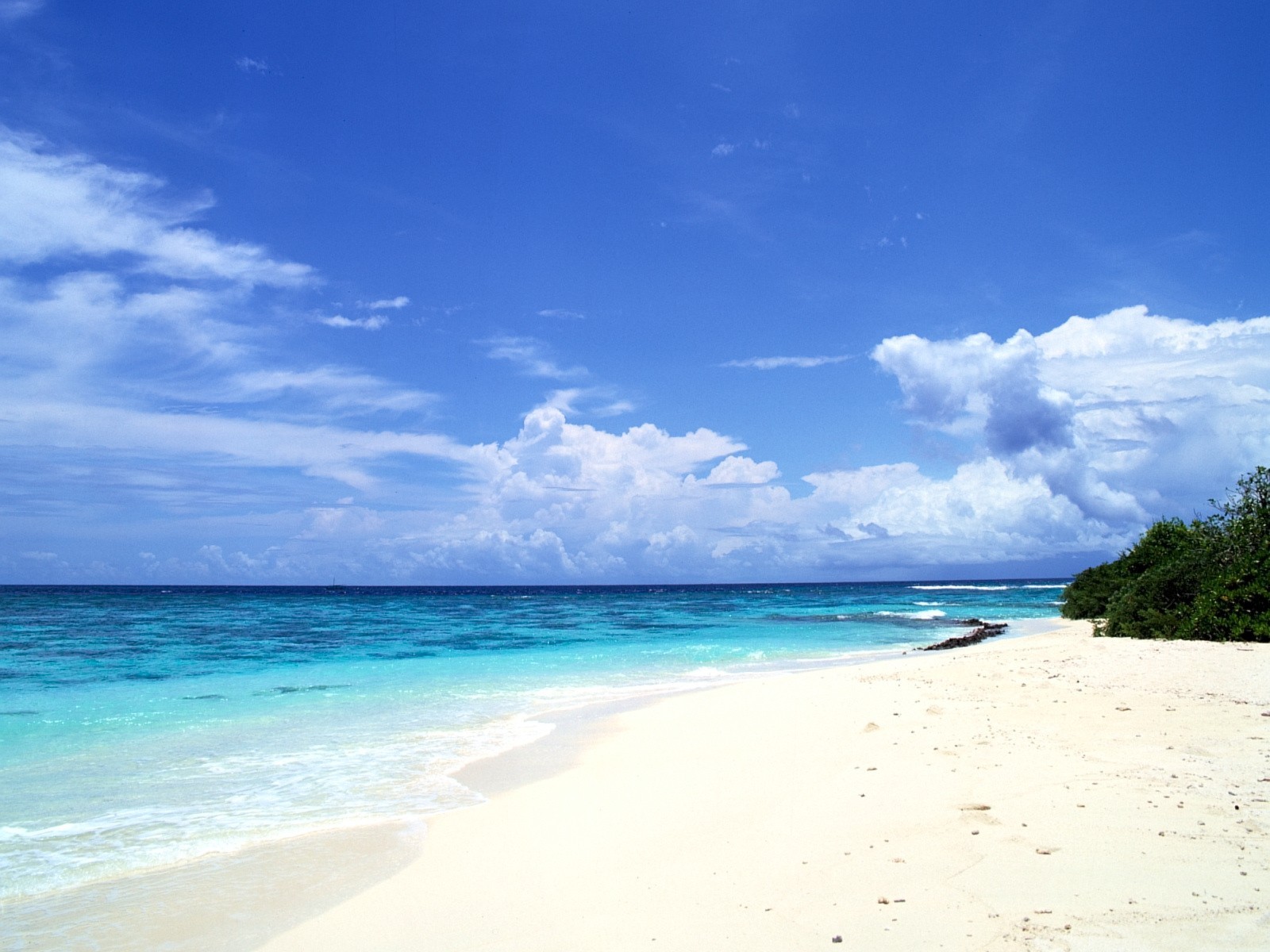 beach sea clouds horizon