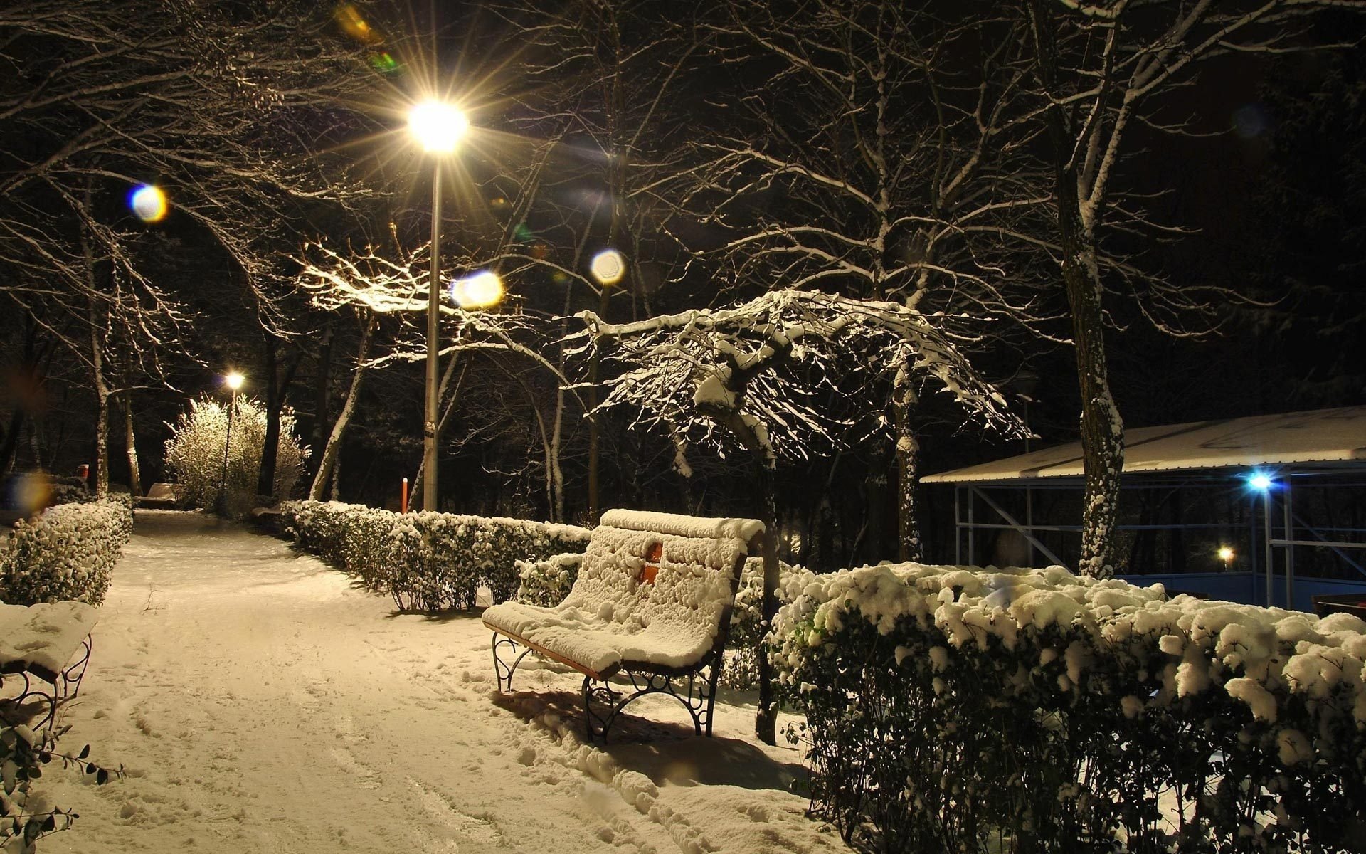 inverno luce neve sera panchina alberi