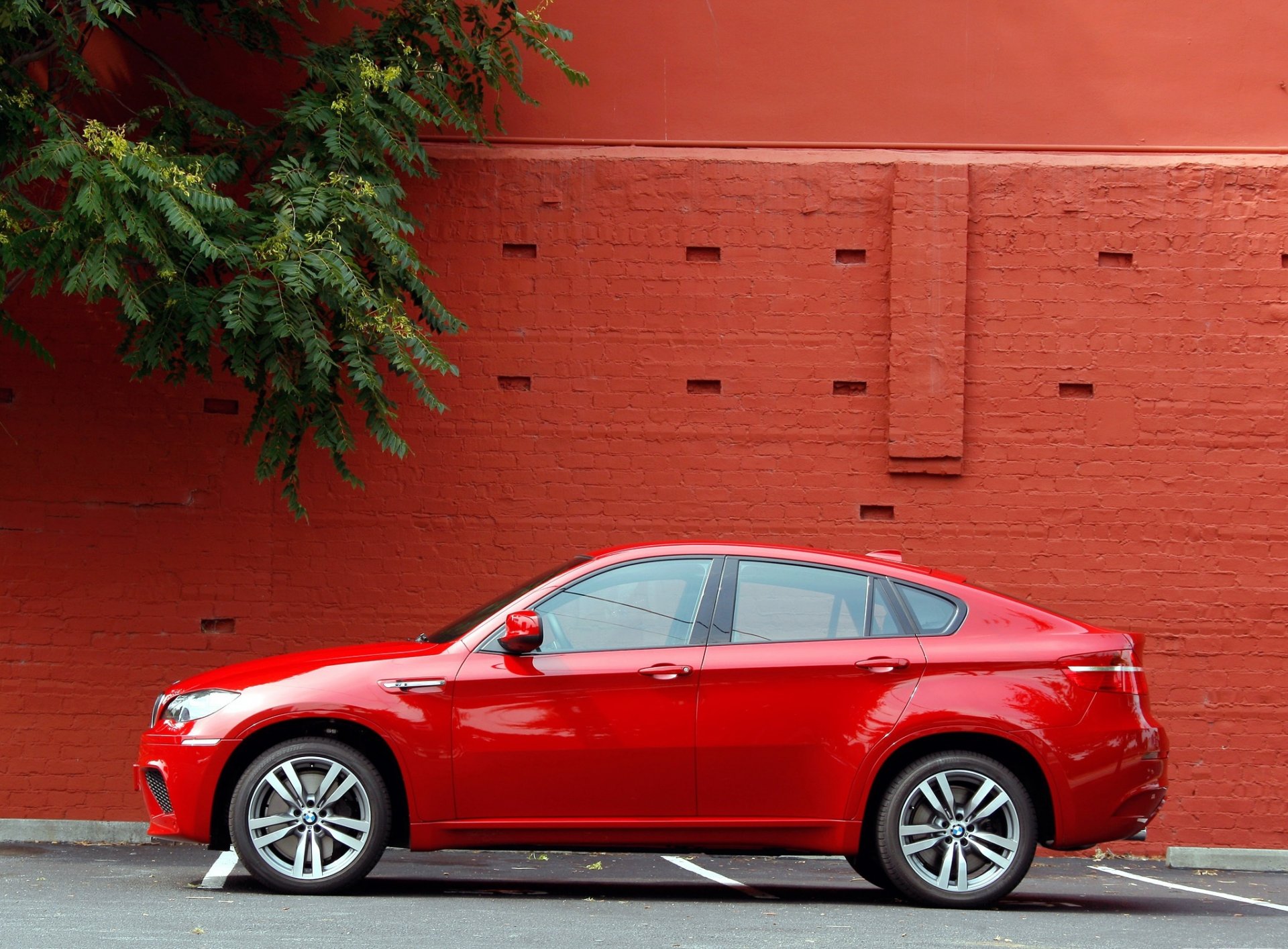 bmw autos x6 rot wand