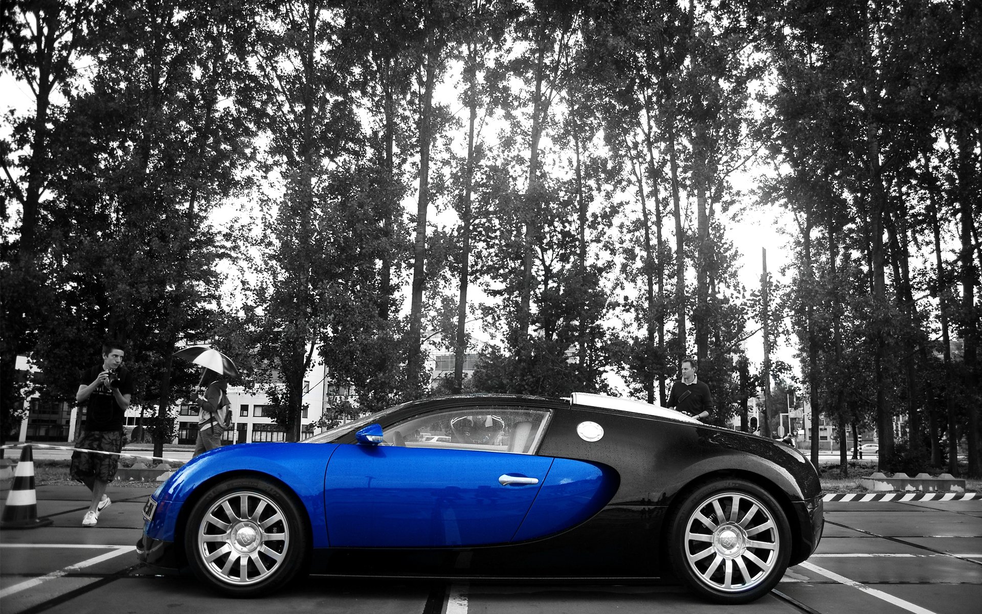 bugatti veyron contrast flower