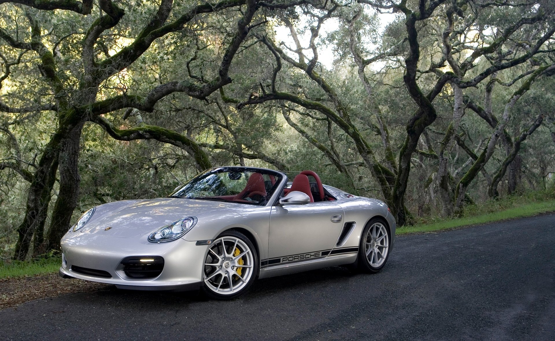 porsche silver tree