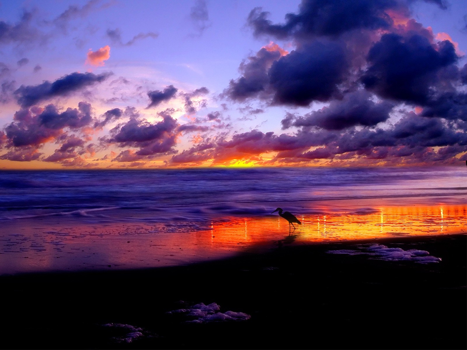 unset clouds sea stork