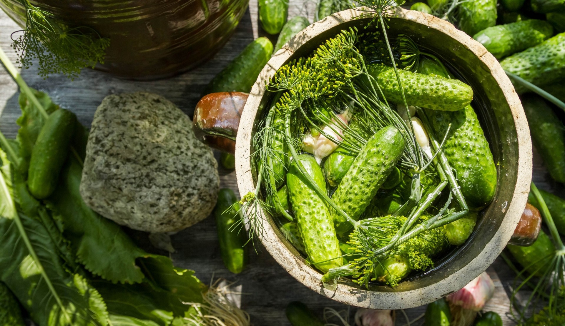 alting of the blank cucumber