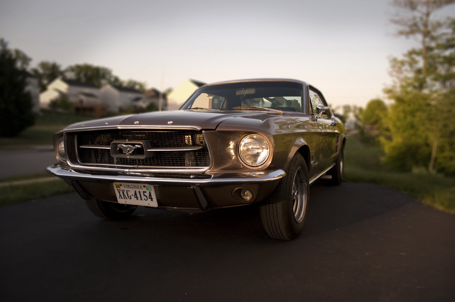 1967 ford mustang