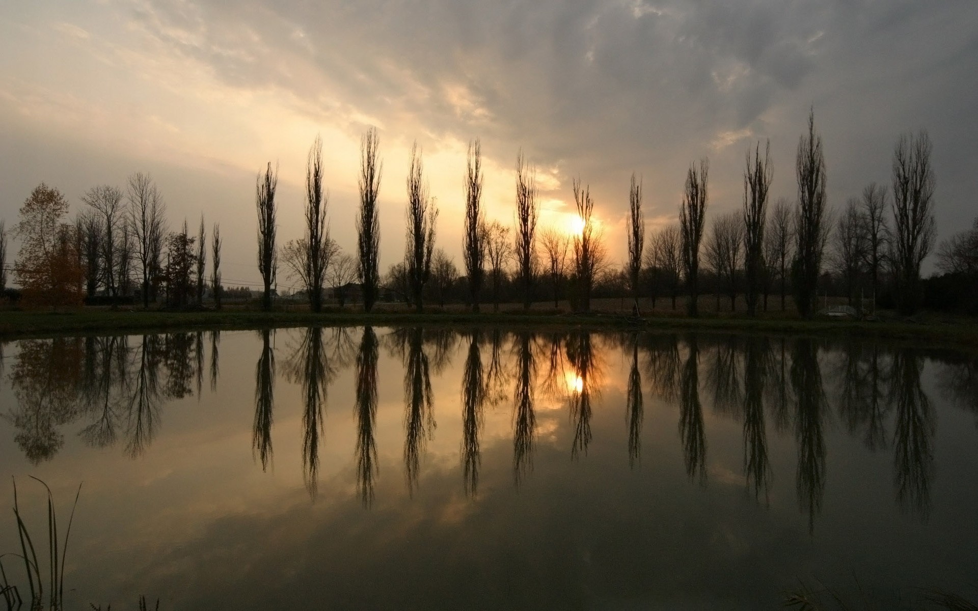 soleil étang coucher de soleil arbres