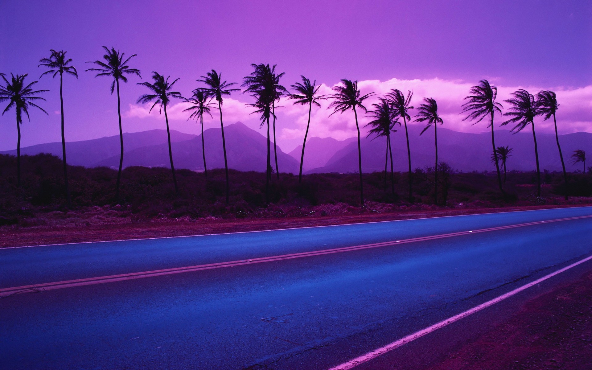 route palmiers montagnes couleur