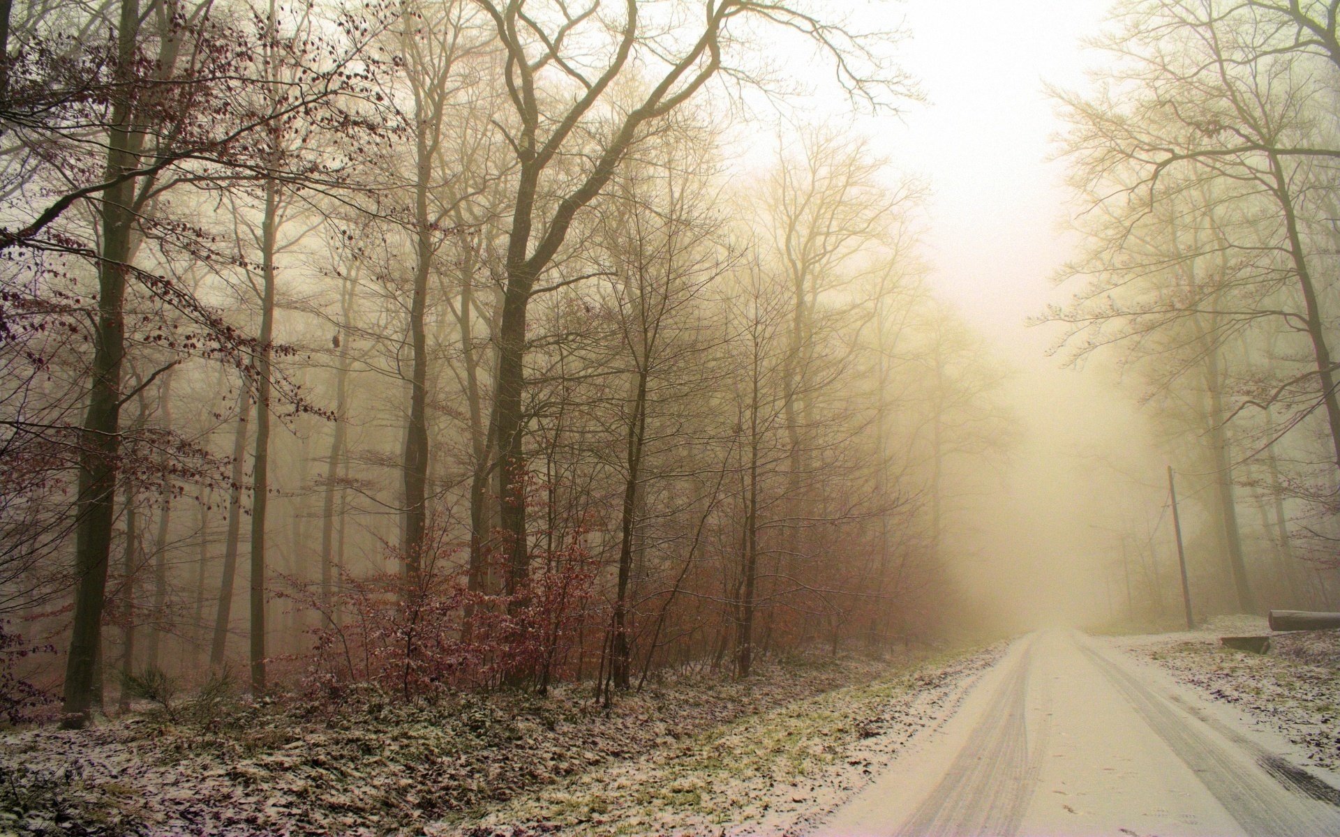 winter straße spuren schnee wald bäume frost