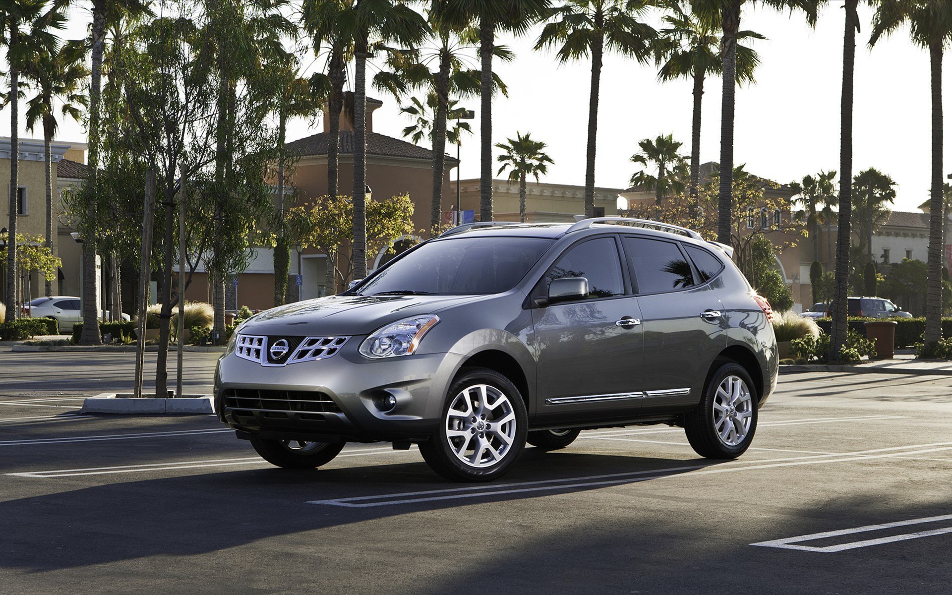 nissan-rogue-2011 palme esotico