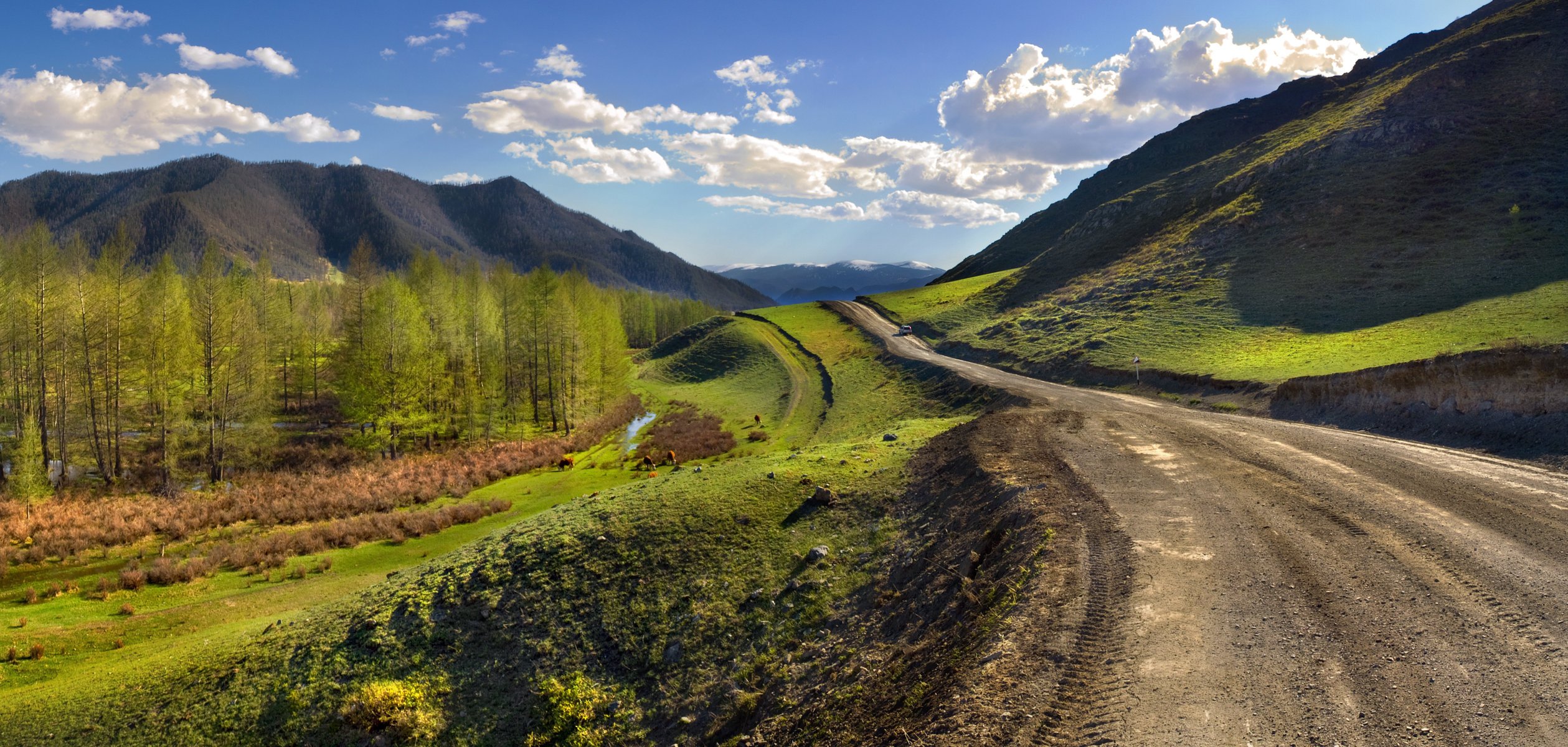 montagna altai strada paesaggio prospettiva