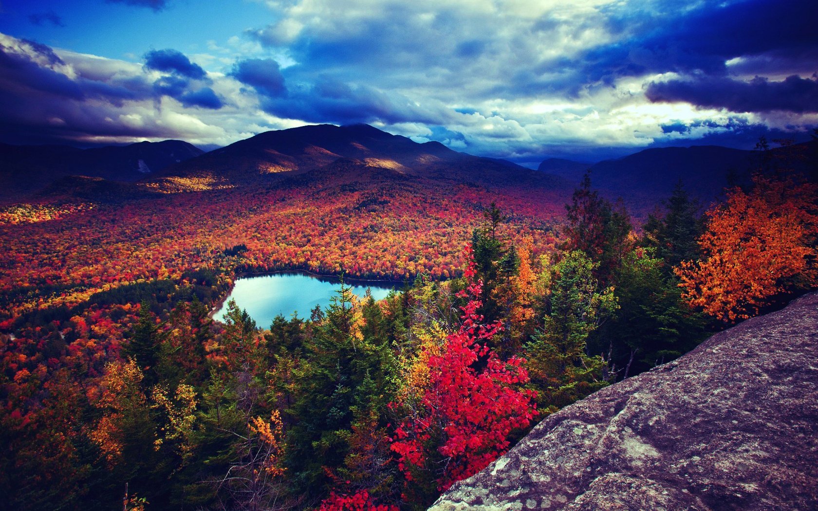 árboles follaje bosque otoño lago wood green red sea wide blue