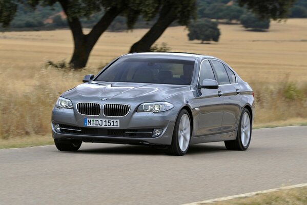 Gris coche bmw5 sedán