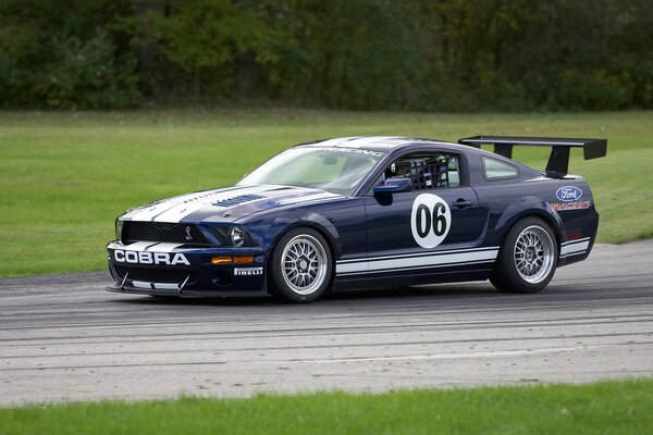 Cobra noir avec spoiler, autorally