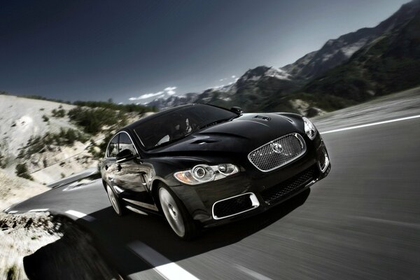 Black Jaguar on a mountain road