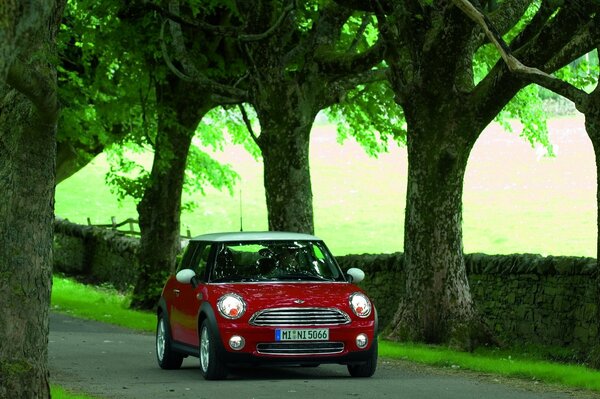 Red car in the city park