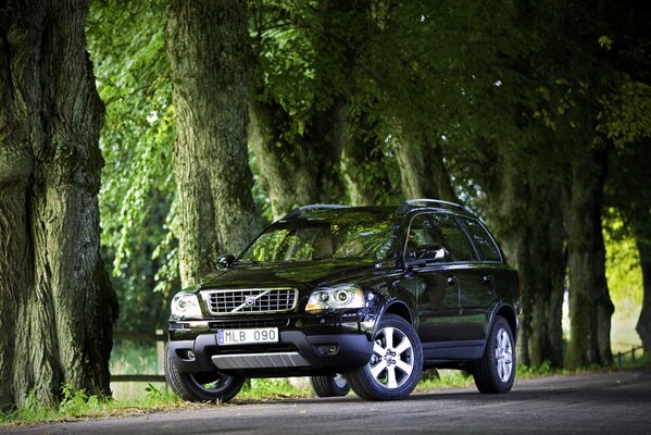 Czarne Volvo w środowisku naturalnym