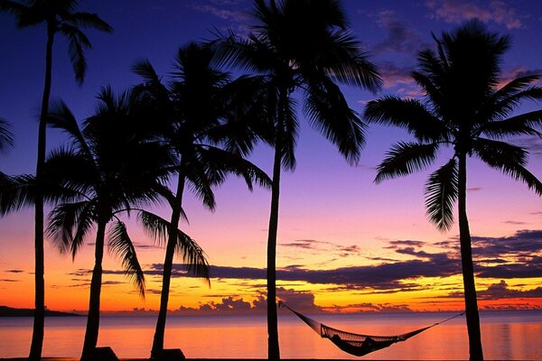 A man in a hammock lies against the background of the sunset