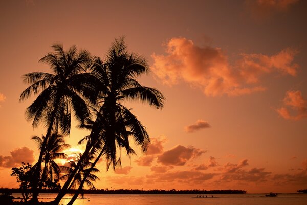 Red sunset over palm trees and water