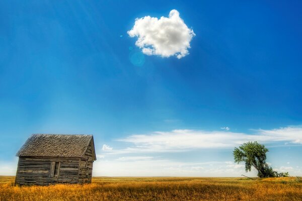 Haus und Baum in einem Feld am Wolkenhimmel