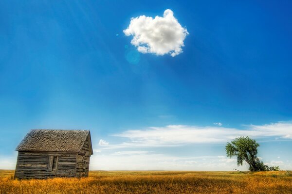 Дом и дерево в поле на небе облака