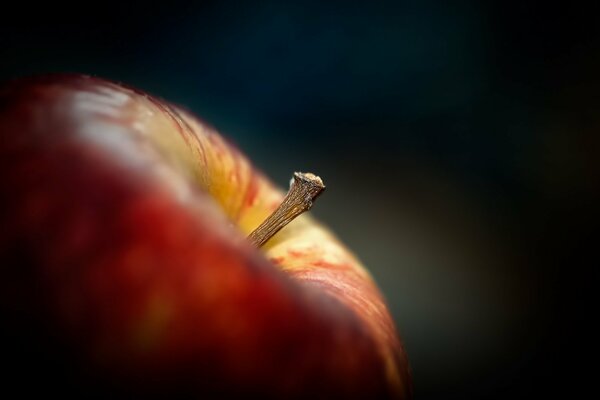 Fotografía macro de la manzana. Cola de caballo sobre fondo oscuro