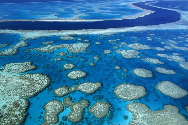 Il y a beaucoup d îles sur la mer bleu vif