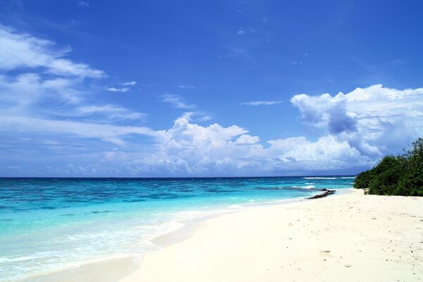 Sky. Sea. White sand