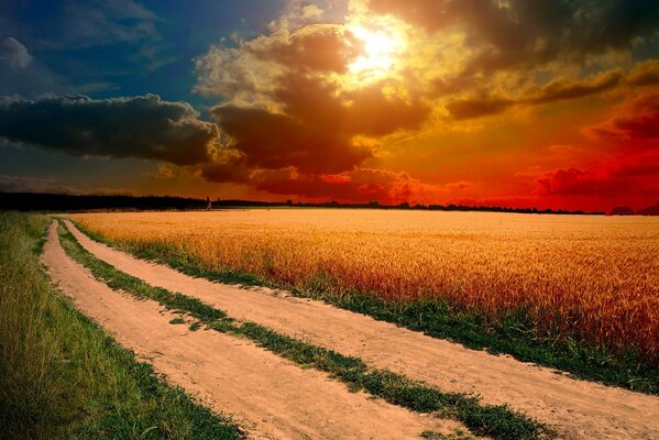 The road through the wheat field