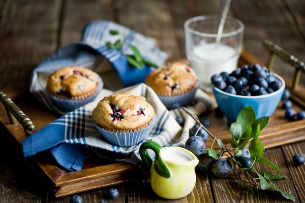 Cupcakes with blueberries on a tray