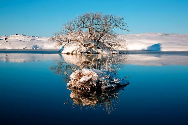 Paesaggio invernale di un lago senza ghiaccio