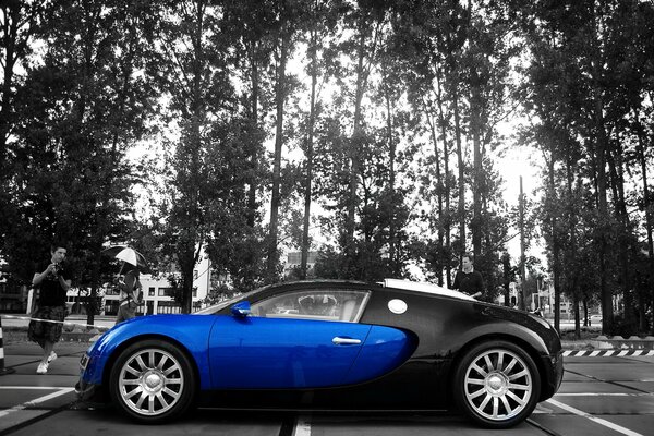 Bugatti Veron in blauer und schwarzer Karosserie