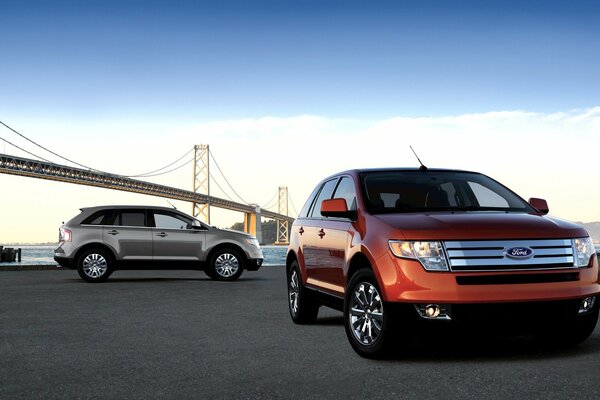 Ford coche perfecto para una familia con niños