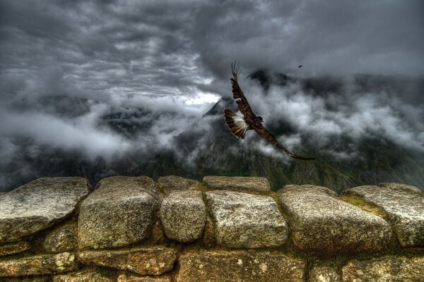 Der Vogel fliegt in den Wolken zu den Bergen