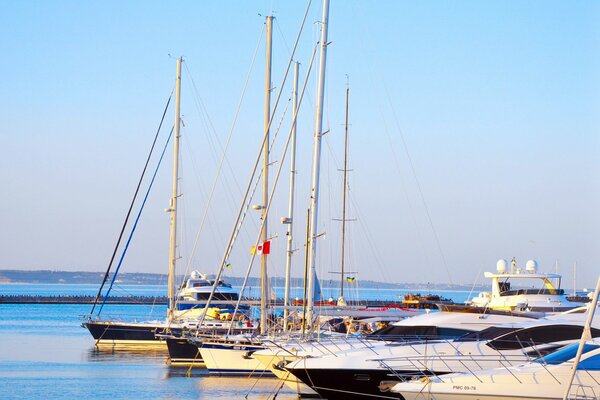 Schicke Yachten im Hafen von Odessa